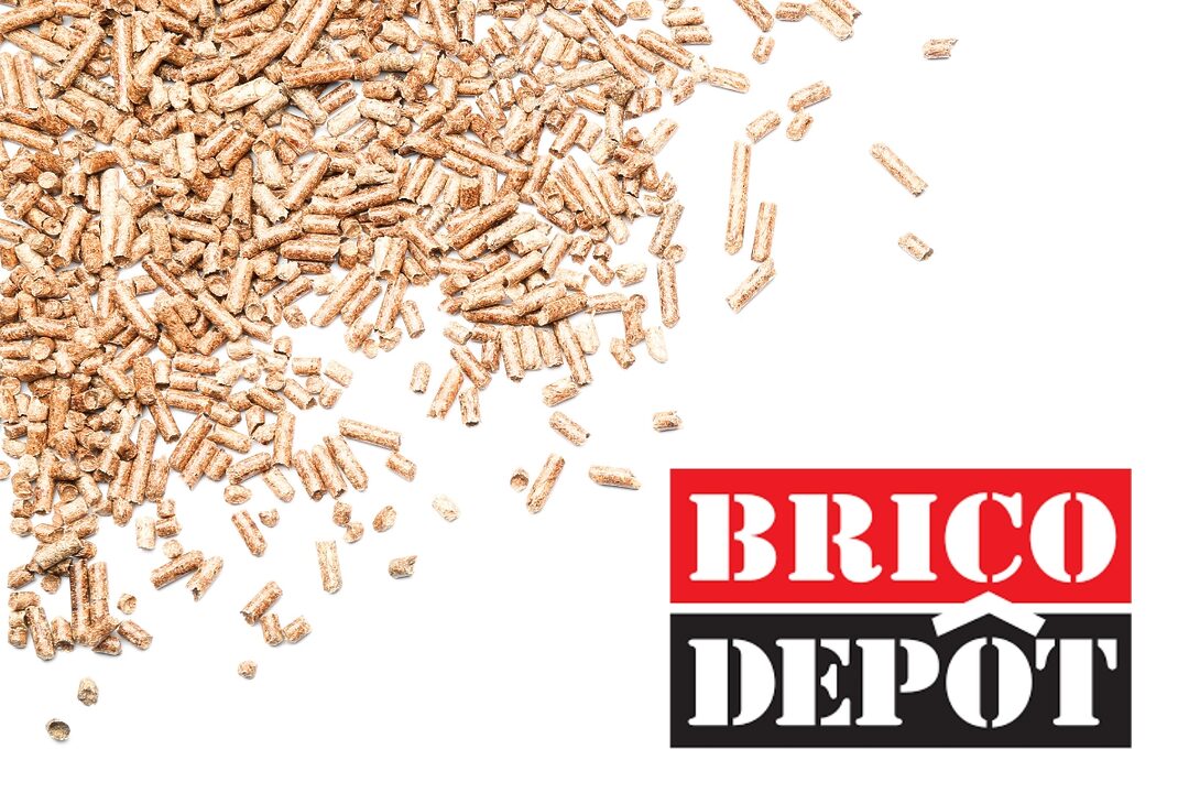 logo brico depot